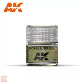 AK Real Color - BSC Nº28 Silver Grey