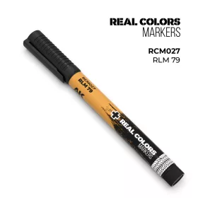 AK-Interactive RCM027 Rlm 79