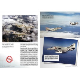 Aces High Magazine Monographic series: Skyhawk